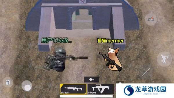 猫猫地铁逃生