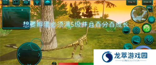 诅咒之岛