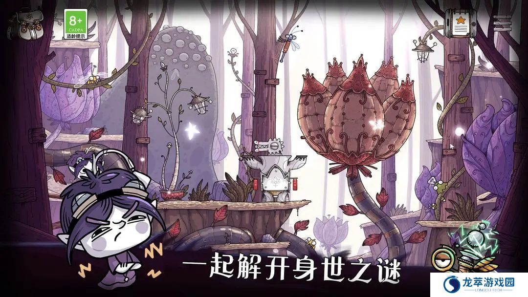 豆胡