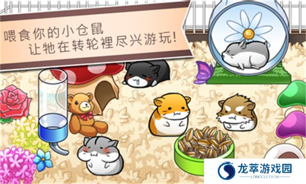 仓鼠的日常手游