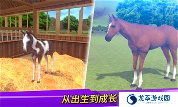 德比生活游戏