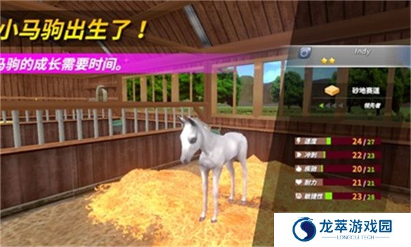 德比生活游戏