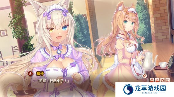 猫娘乐园
