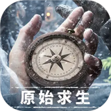 荒原曙光手游