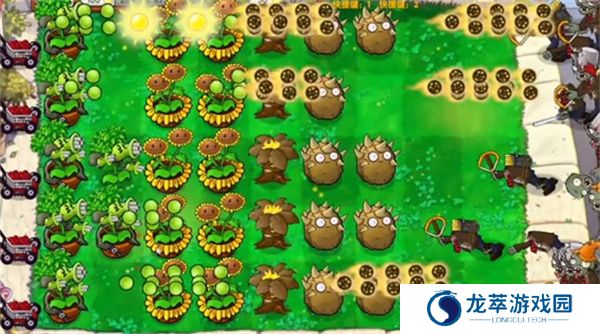 植物大战僵尸启命版