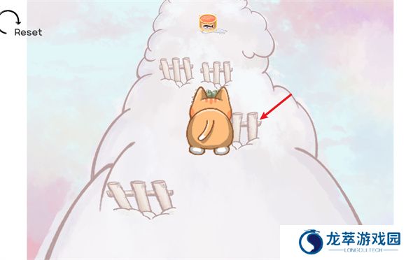 猫咪飞天跑