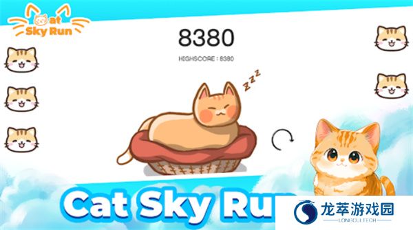 猫咪飞天跑