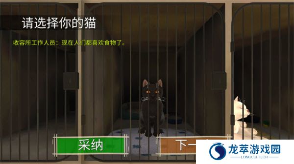 顽皮猫生活模拟