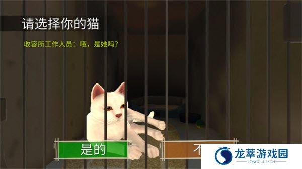 顽皮猫生活模拟