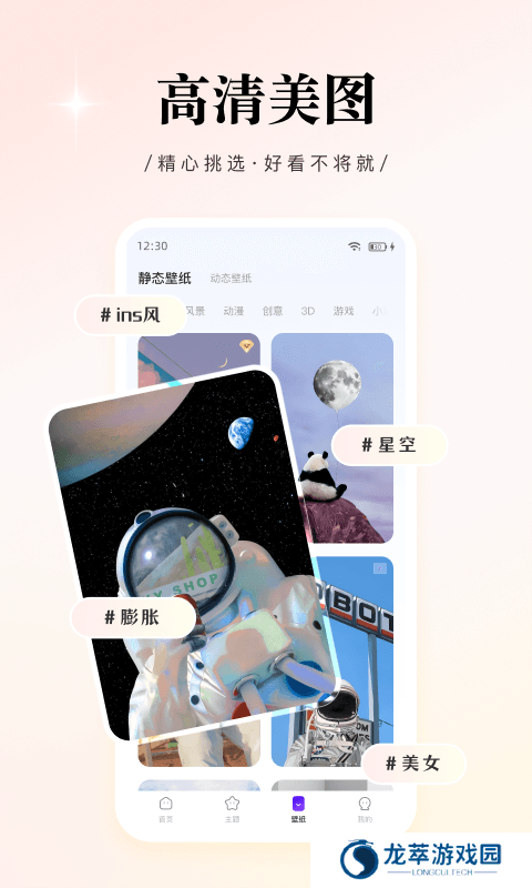 WidgetPro