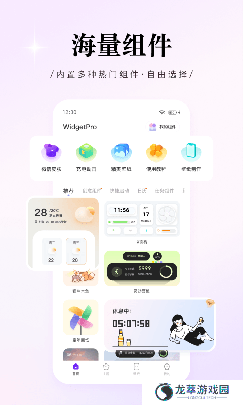 WidgetPro