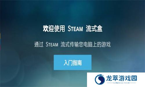 Steam link