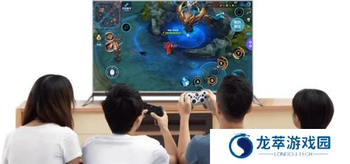 八爪鱼