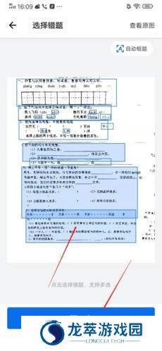 蜜蜂试卷免费版