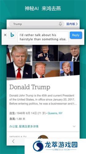 必应bing国际版