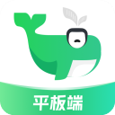 小绿鲸