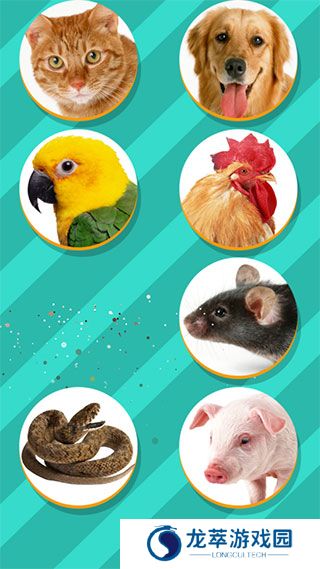 pettranslator动物语言翻译器