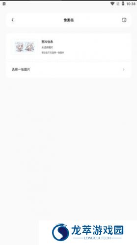 迷你兔子