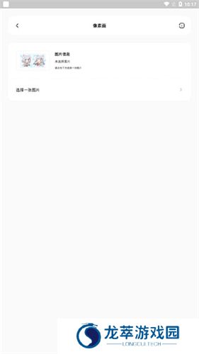迷你兔子