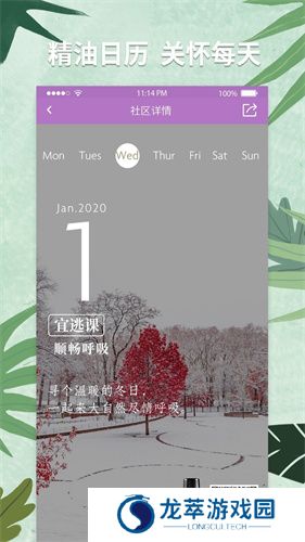 多特瑞