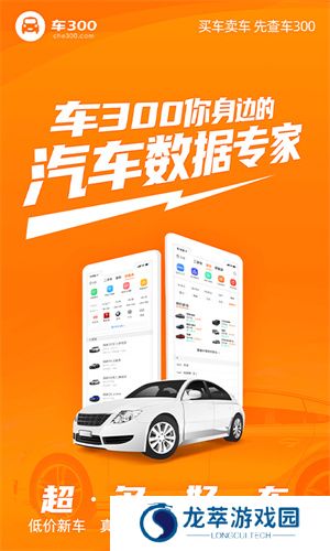 车300二手车免费评估