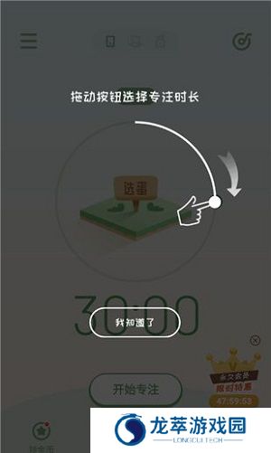 专注崽崽
