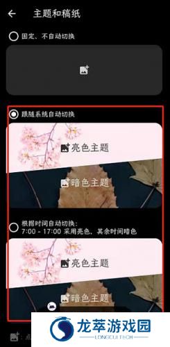 纯纯写作高级版