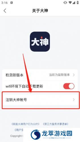 网易大神