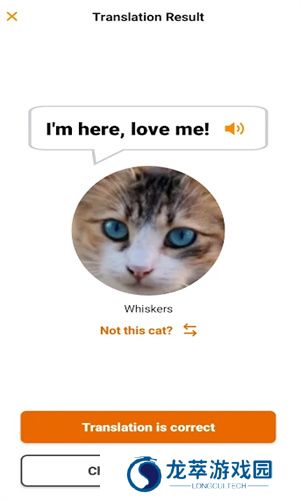 meowtalk