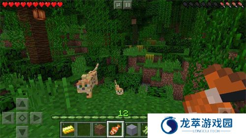 我的世界1.16