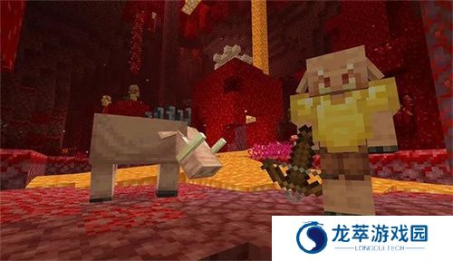 我的世界1.16