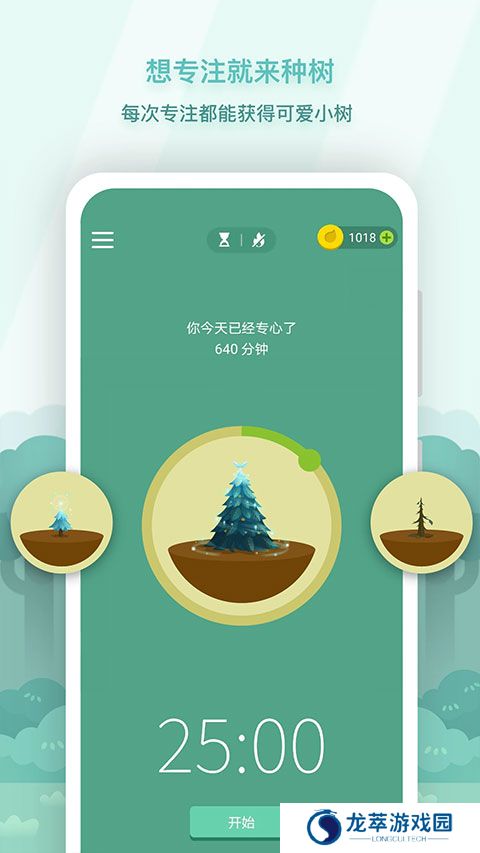 专注森林