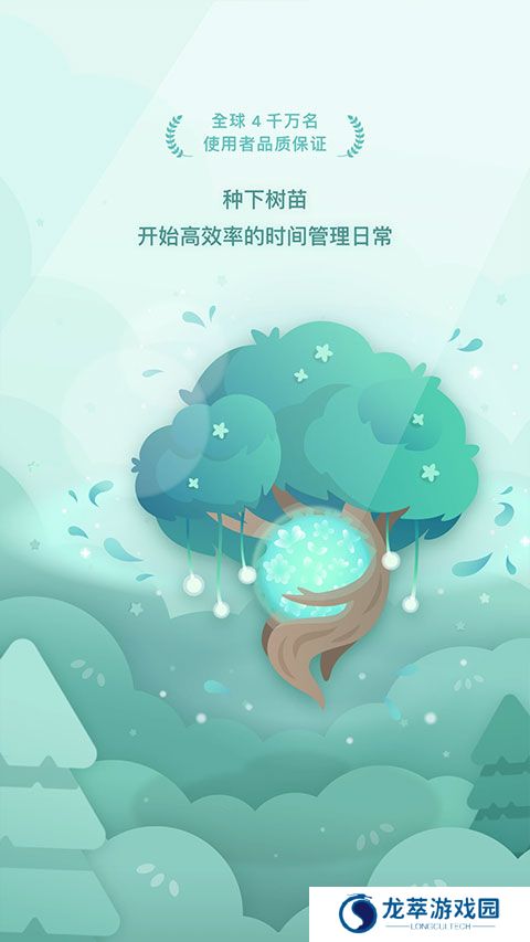 专注森林