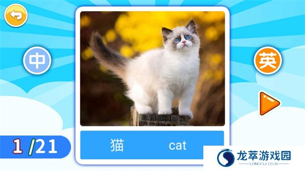 宝宝英语
