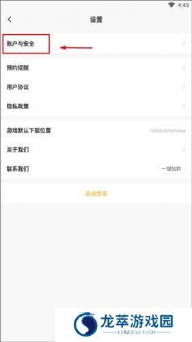 闪电龟