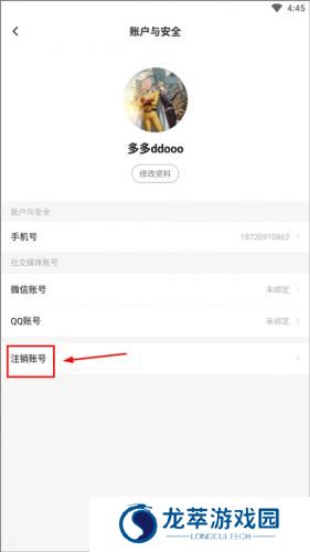 闪电龟