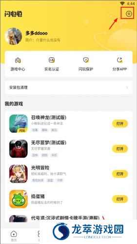 闪电龟