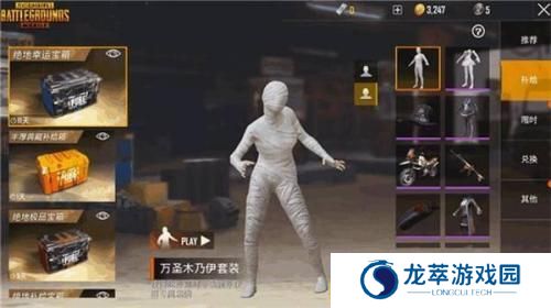 pubg mobile国际版