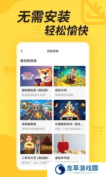 闪电龟安装包