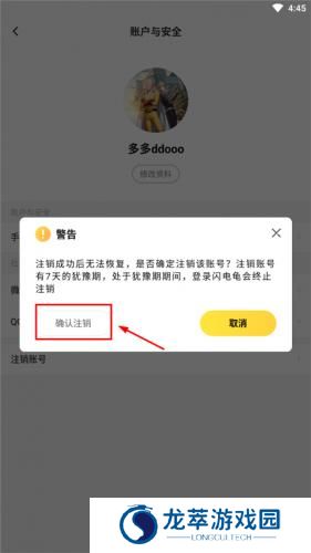 闪电龟
