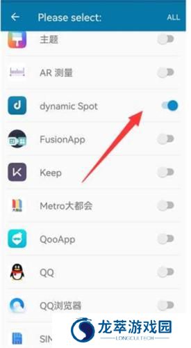 dynamicSpot灵动岛