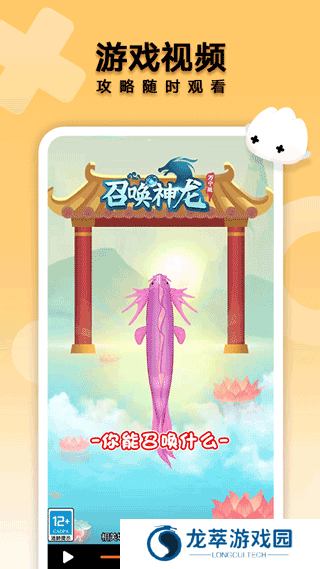 花瓣轻游