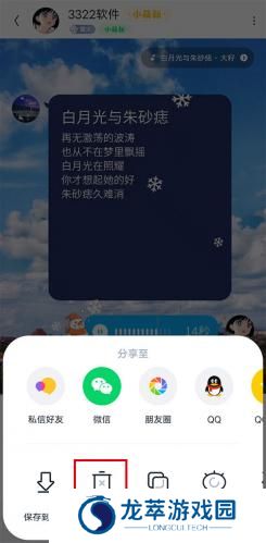 回森最新版