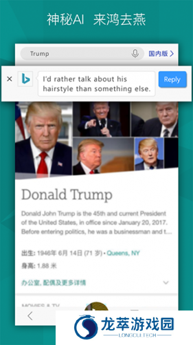 微软bing国际版
