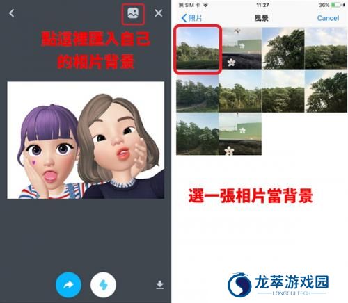 崽崽国际版