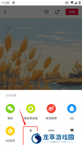 花瓣网免费素材图库