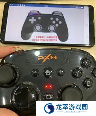 小鸡模拟器安卓版
