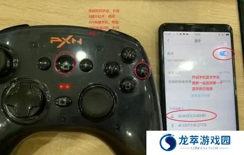 小鸡模拟器安卓版