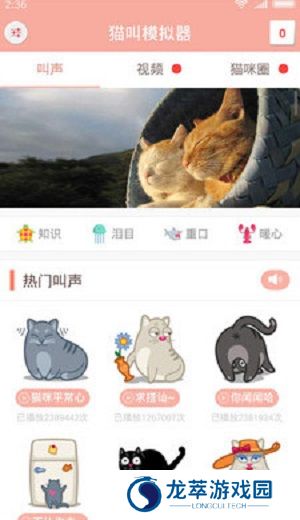 猫叫模拟器