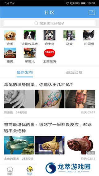 宠物之家